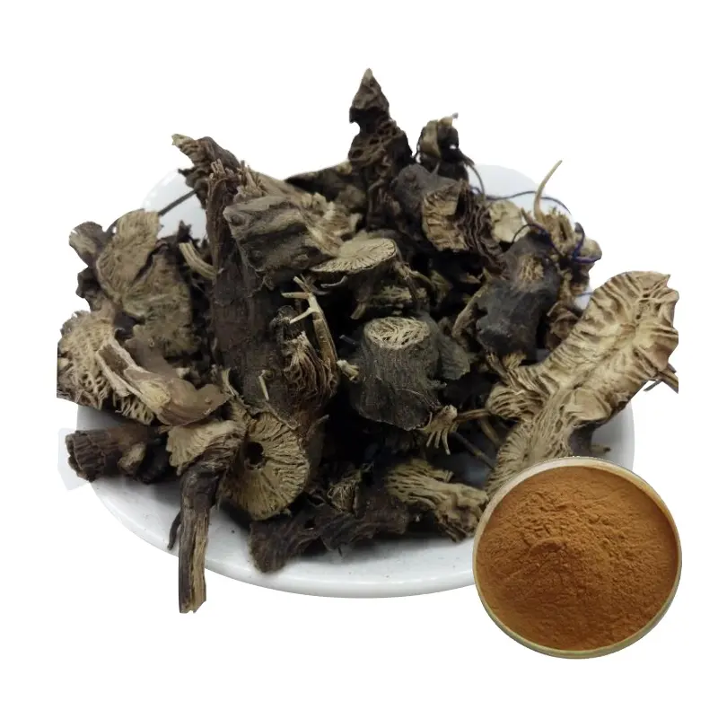 Wholesale High Quality 2.5%Triterpene Glycosides Black Cohosh Extract Powder