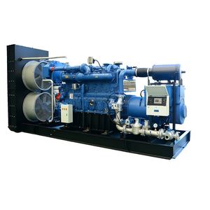 <span class=keywords><strong>500KW</strong></span> Sino Energys SE500BF Model 50Hz 400V Biogasgeneratorset Volledig Automatische Besturing Brandbaar Systeem Driefasig Water - Product Image 1