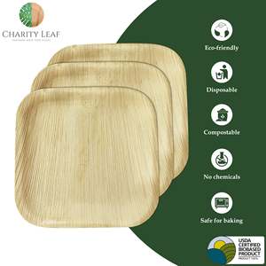 Piatto Quadrato in Foglia di Palma Naturale da 7 Pollici - Product Image 3
