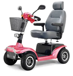 Vente directe du fournisseur, scooter de voyage pour les handicapés, pour les handicapés, couleur personnalisée, scooter à neige électrique 650W - Product Image 1