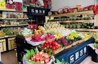 Panier de rangement en rotin en plastique Fruits et pain pour aliments Paniers à pain Plateau à pain en rotin Panier Carton Poignée en plastique brun 10pcs