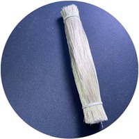 Fil de soudure pour accessoires néon LED flexibles 200 mm, fils électriques pour éclairage néon LED