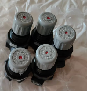 วาล์วระบายแรงดันขนาดเล็ก รุ่น V07, G14, 0.3-8.5 บาร์, ไม่มีเกจวัดแรงดัน V07-200-NNLG/V07-100-NNKG/V07-100-NNMG - Product Image 5