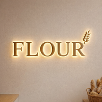 Letras LED Iluminadas, Letreros Publicitarios, Letras de Acero Inoxidable 3D Iluminadas para Pared, Hechas a Medida