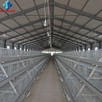 Conception Gratuite de Bâtiment Avicole Simple en Structure Acier pour Poulets de Chair et Poules Pondeuses, Ferme d'Élevage d'Œufs Préfabriquée pour l'Élevage à Grande Échelle