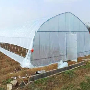 <span class=keywords><strong>Serre</strong></span> <span class=keywords><strong>tunnel</strong></span> agricole à structure <span class=keywords><strong>solide</strong></span> et faible coût pour fraises, en film plastique à simple travée - Product Image 1