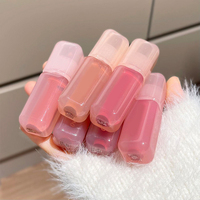 Mini Capsule Huile à Lèvres Hydratante Repulpante Effet Gloss Sérum pour Marque Personnalisée Achat en Gros Direct Usine