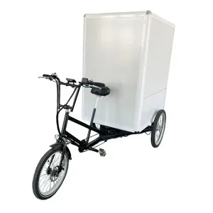 Hot Selling Van Vrachtwagen Lading Driewieler 500W Krachtige Lange Afstand Zware Bakfiets 500W Krachtige Lange Afstand Zware Lading Bi