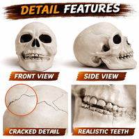 Nouvelles décorations réutilisables en PVC en forme de tête de squelette d'horreur pour Halloween 2026, idéales pour les fêtes, festivals, remises de diplômes et Thanksgiving