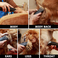 Lames de rechange professionnelles pour tondeuses à chien A5, 10 pièces #   30 #   40 #   3F 4F 5F 7F Céramiques et acier inoxydable, produits de toilettage écologiques