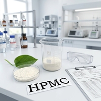 Fabricant de HPMC, agent chimique auxiliaire, HPMC en poudre de qualité industrielle pour la mastication des murs, poudre de HPMC