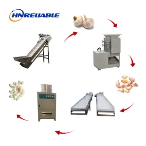 Machine de traitement automatique d'éplucheur d'ail ligne de production de séparation et d'épluchage de gousse d'ail épluchée