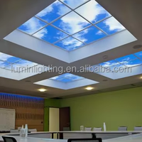 Température de couleur réglable Motif personnalisé Décor de bien-être Plusieurs tailles Rond Carré WiFi Sky Panel Light