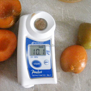 Abricot congelé IQF emballé en vrac <span class=keywords><strong>de</strong></span> qualité supérieure moitié d'abricot congelé aux fruits IQF - Product Image 5