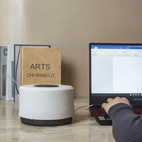 Pour SCENTCARES Logo personnalisé diffuseur de parfum d'huile essentielle à ultrasons pour humidificateur de musique Bluetooth pour voitures énergie électrique