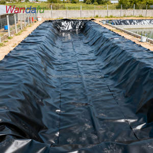Agrarische Gladde Hdpe Geomembrane Voering Voor Viskwekerij Garnalen Vijver Stortplaats-Anti-Uv & Duurzaam - Product Image 2