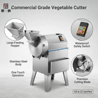 Commerciële roestvrijstalen automatische industriële multifunctionele snij-, schaaf- en blokjesmachine voor fruit en groenten