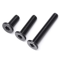 M2 M2.5 M3 M4 M5 M6 M8 Acier Inoxydable Noir Tête Plaquette Vis Torx Vis Plates Ultra Minces