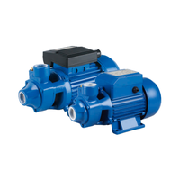 TECHNIC POWER 0.75HP QB70 0.55KW Pompe de jardin auto-amorçante Pompe à eau électrique Irrigation de surface