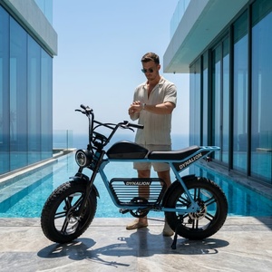 Vélo électrique haut de gamme avec écran LCD et alimentation 48V, idéal pour les visites de propriétés - Product Image 2