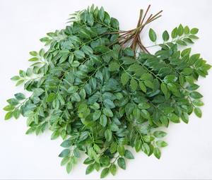 Hoja de <span class=keywords><strong>olmo</strong></span> Artificial para decoración del hogar, hojas artificiales de seda, QSLH-W131 - Product Image 1