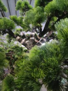 حجم مخصص كبير اصطناعي بونساي داخلي داخلي خارجي ديكور داخلي داخلي - Product Image 4