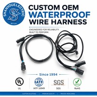 Kabel Harness Speaker Belakang Anti Air Terjalin, Kabel Harness Listrik Mobil, Perakitan Kabel Harness OEM, Kabel Harness Kustom