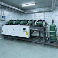 Unité de condenseur à rack fournie par l'usine avec système de compresseur parallèle pour entrepôt frigorifique industriel