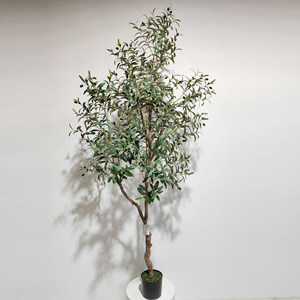 <span class=keywords><strong>Olivo</strong></span> Artificial para Entradas <span class=keywords><strong>de</strong></span> Casas, Balcones, Decoración <span class=keywords><strong>de</strong></span> Paisajes, Hoteles, Centros Comerciales, Salas <span class=keywords><strong>de</strong></span> Exposiciones, Plástico/PVC, 100-200 cm - Product Image 4