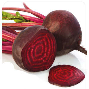 Material de Cultivo de Remolacha Roja Oscura de Alto Rendimiento Detroit para Producción Agrícola a Gran Escala, Suministro al por Mayor y Mercado de Exportación - Product Image 2