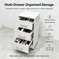 Armoire de rangement mobile pour salon avec plusieurs tiroirs, chariot à roulettes pour outils de coiffure, unité d'organisation pour salon de coiffure et de beauté