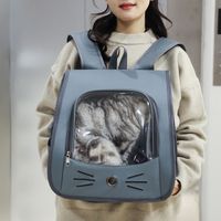 Sac de transport pour animaux de compagnie en nylon, portable, imperméable, respirant, grande capacité, pour chats et chiens, avec fonctions anti-stress