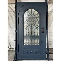 Puerta de Entrada de Hierro con Arco de Seguridad de Vidrio Aquatex, Diseño Moderno y Personalizable, Puerta Metálica Exterior para Villa