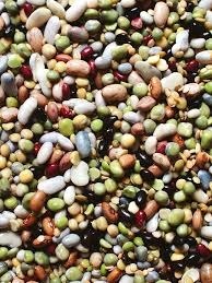 Mezcla de Granos y Legumbres Más Vendida para Nutrición Animal, para Ganado Lechero, Cabras y Ovejas, Disponible a Precio Accesible - Product Image 2