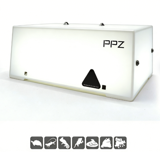 Ampoule infrarouge R7S blanche + lumière du jour R7S