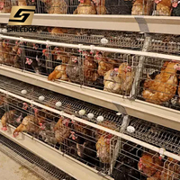Cages à poulets de type A galvanisées pour élevage de poules pondeuses, équipement d'élevage avicole pour fermes et poulaillers
