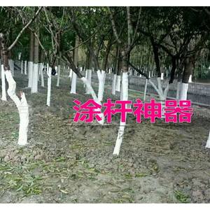 Pulvérisateur électrique agricole d'occasion avec buse, livraison gratuite, pulvérisateur pour tiges d'arbres fruitiers, outil de blanchiment au chaux et antigel - Product Image 2