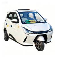 Triciclo Eléctrico Duradero de Cuatro Puertas, Bien Recibido en Europa y América