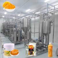 Mango sapverwerkingslijn PLC-gestuurd automatisch systeem van roestvrij staal, capaciteit 60-1500 ton/uur, vermogen 7,5-10 kW voor mango's