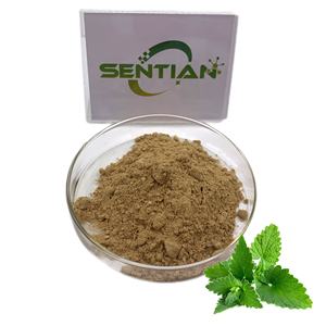 Plante Agastache Rugosus Herba Extarct Extrait de patchouli Poudre d'extrait de patchouli - Product Image 1