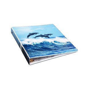 Ring Binder 3 Wholesale A4 Letter Size Pvc Ring File Binder 3 Round Post Ring Binder Folder
