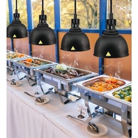 Lampe chauffante suspendue en fer pour buffet, avec chauffage à économie d'énergie et température réglable, pour usage commercial (noir)