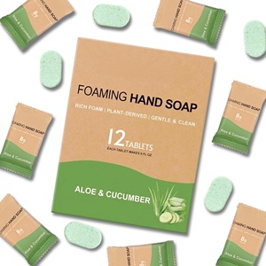 Eco-friendly Foaming <b>Hand</b> <b>Soap</b> Tablet Effervescent Tablet Zero Waste Cleaning Tablet <b>Refillable</b> <b>Hand</b> Wash <b>Soap</b> - Product Image 1