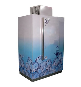 Congelatore verticale per blocchi di ghiaccio, porta singola, porta solida, raffreddamento diretto, congelatore commerciale per la conservazione di bevande all'aperto - Product Image 3