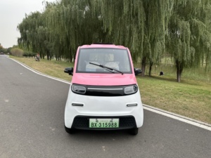 LIANGJI Mini <span class=keywords><strong>furgoneta</strong></span> eléctrica de 4 <span class=keywords><strong>plazas</strong></span> para adultos, coche de dos puertas con asientos de cuero y batería trasera, <span class=keywords><strong>precio</strong></span> barato, vehículo de nueva energía - Product Image 2