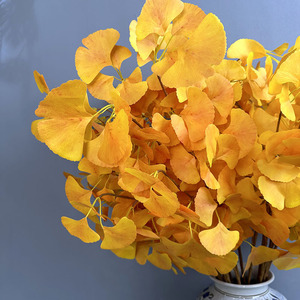 Feuilles de <span class=keywords><strong>Ginkgo</strong></span> pour décoration d'intérieur haut de gamme Feuilles de <span class=keywords><strong>Ginkgo</strong></span> <span class=keywords><strong>Biloba</strong></span> en soie de haute qualité Feuilles de <span class=keywords><strong>Ginkgo</strong></span> artificielles - Product Image 6
