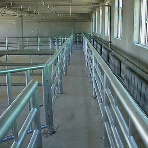 Portable Livestock <strong>Scale</strong> Heavy Duty Weighing Equipment Large Farms Cattle Slaughterhouse Cow Abattoir Processing Machine - Product Image 6