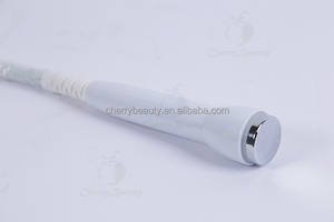 Appareil d'électroporation pour le raffermissement de la peau, refroidissement et chauffage de la peau, rajeunissement de la peau, électroporation de haute qualité - Product Image 6