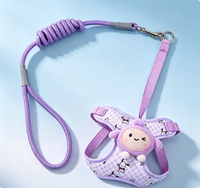 Accessoires pour chiots PETS, ensemble de harnais pour chien coloré avec laisse pour animal de compagnie