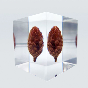 Cono de pino diente de león Rosa Bola de resina epoxi incrustado Lucite cubo UV impreso pisapapeles espécimen acrílico cubo flor pisapapeles - Product Image 4